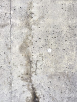 Under the Bridge 9