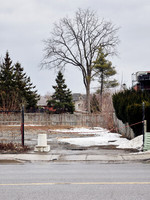 Queen Street East (Brampton) 7