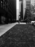 Toronto-Dominion Centre Courtyard II