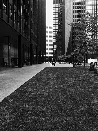 Toronto-Dominion Centre Courtyard II