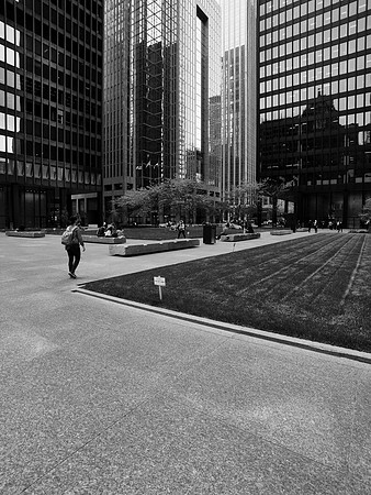 Toronto-Dominion Centre Courtyard I