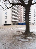 The North American Moscow 16