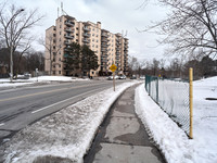 The North American Moscow 6