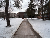 The North American Moscow 12
