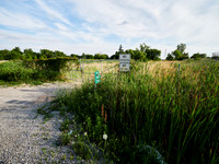 Ninth Line 15