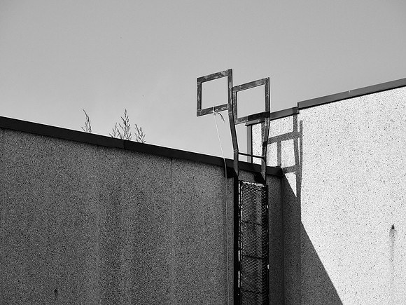 Newfound Landscape 14