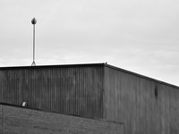 Newfound Landscape 3
