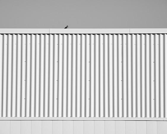 Newfound Landscape 23