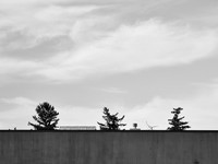 Newfound Landscape 7