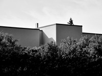 Newfound Landscape 13