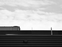Newfound Landscape 8