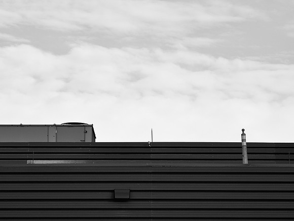 Newfound Landscape 8