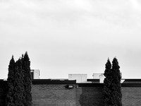 Newfound Landscape 12