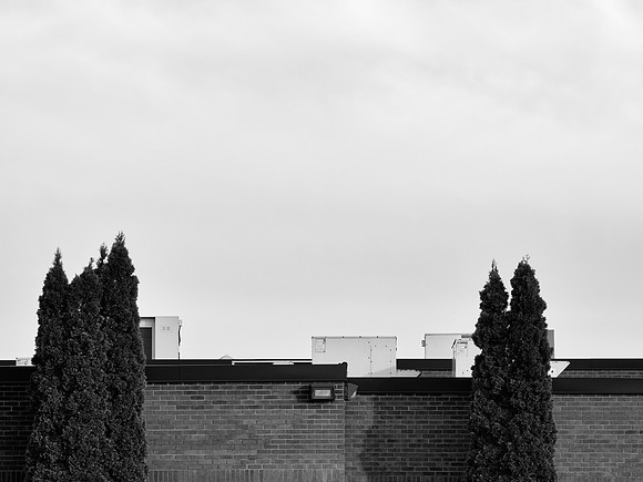 Newfound Landscape 12