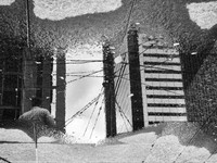 Reflections of Toronto 12