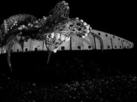 Beyond Concrete: Balete Bulate Bituka (Leeroy New)