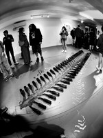Traces of Us (Sasha Shevchenko, Stoyan Barakov)