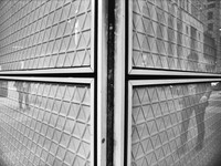 Reflections of Toronto 16