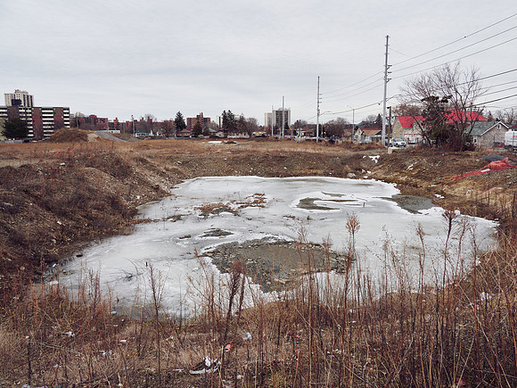 Cooksville Village 21