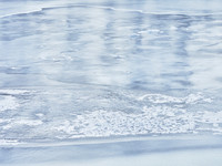 Frozen Credit 6