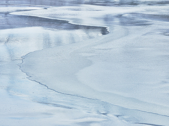 Frozen Credit 11