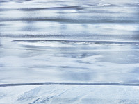Frozen Credit 9