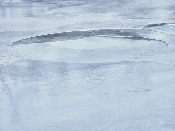 Frozen Credit 10