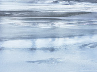 Frozen Credit 12