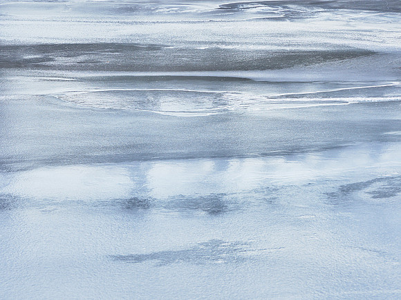 Frozen Credit 12