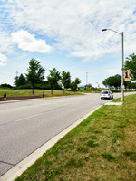 Rose Cherry Place 2
