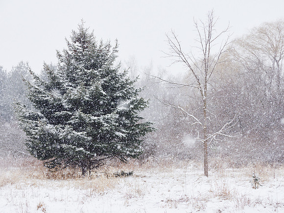 The Middle of Credit Meadows, Winter 1