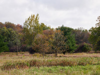 The Middle of Credit Meadows, Autumn 7