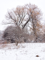 The Middle of Credit Meadows, Winter 9