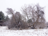 The Middle of Credit Meadows, Winter 7