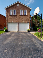 Snout House 7