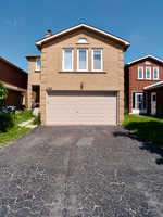 Snout House 9