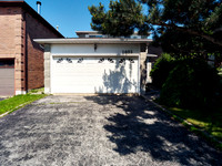 Snout House 14