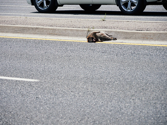 Traffic Jam 3