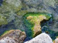 St. Clair on the Rocks 6