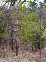 River(over)run 1