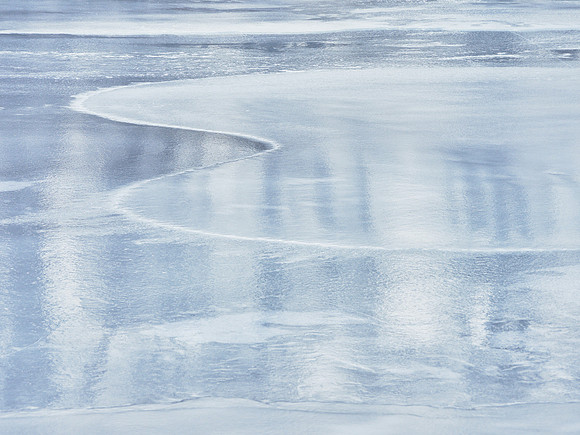 Frozen Credit 7