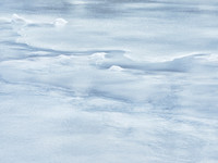 Frozen Credit 2