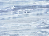 Frozen Credit 5