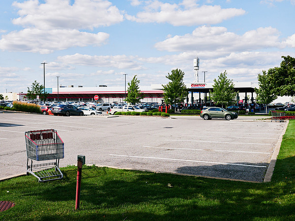 Shopping Carts 3