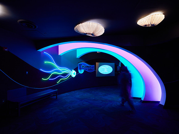 Planet Jellies 1