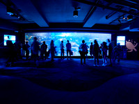 Rainbow Reef 1