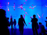 Planet Jellies 2