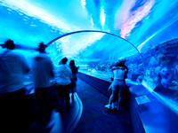 Dangerous Lagoon 3