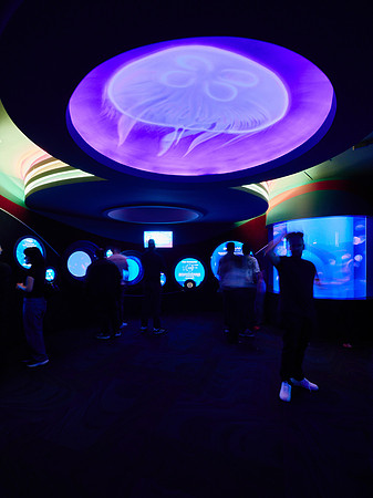 Planet Jellies 3