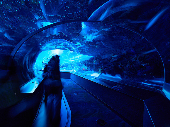 Dangerous Lagoon 2